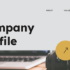 Company Profile Development